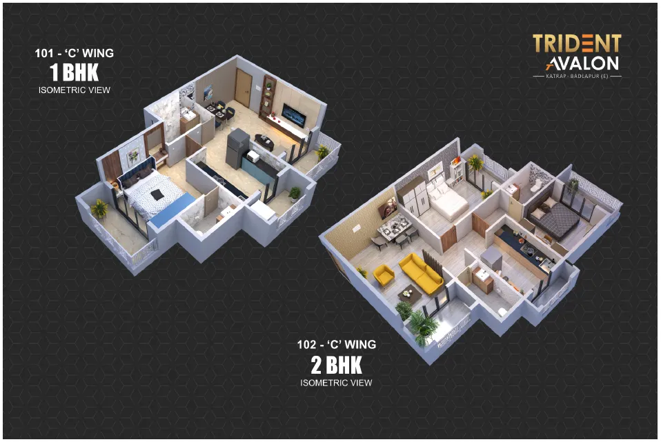 trident Brochure page 11