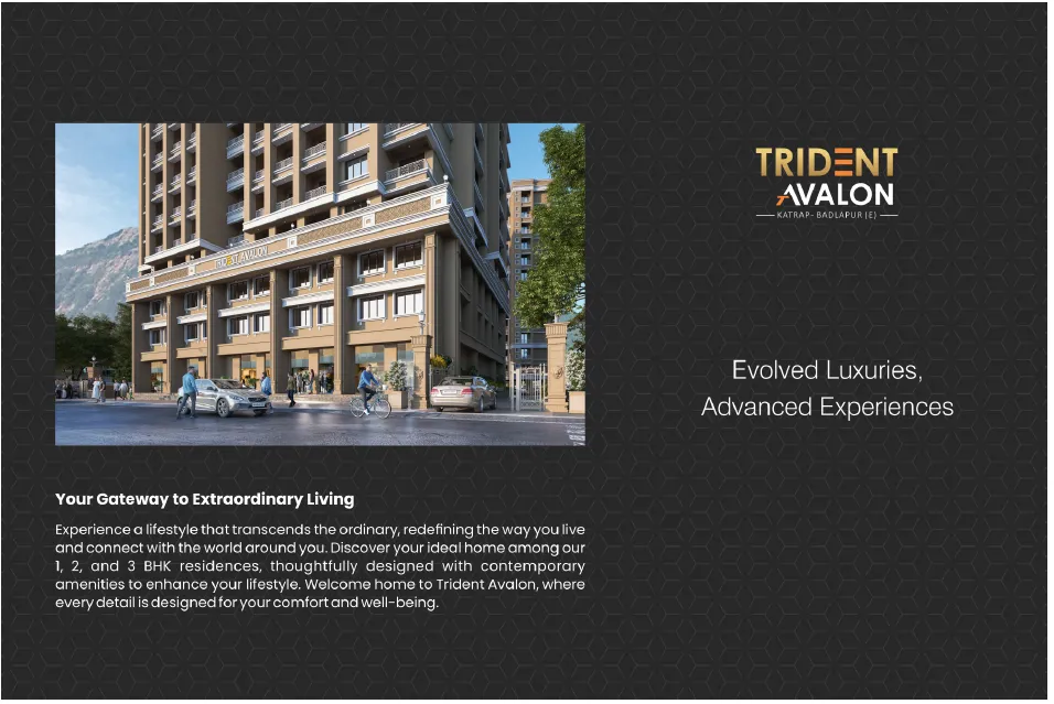 trident Brochure page 3
